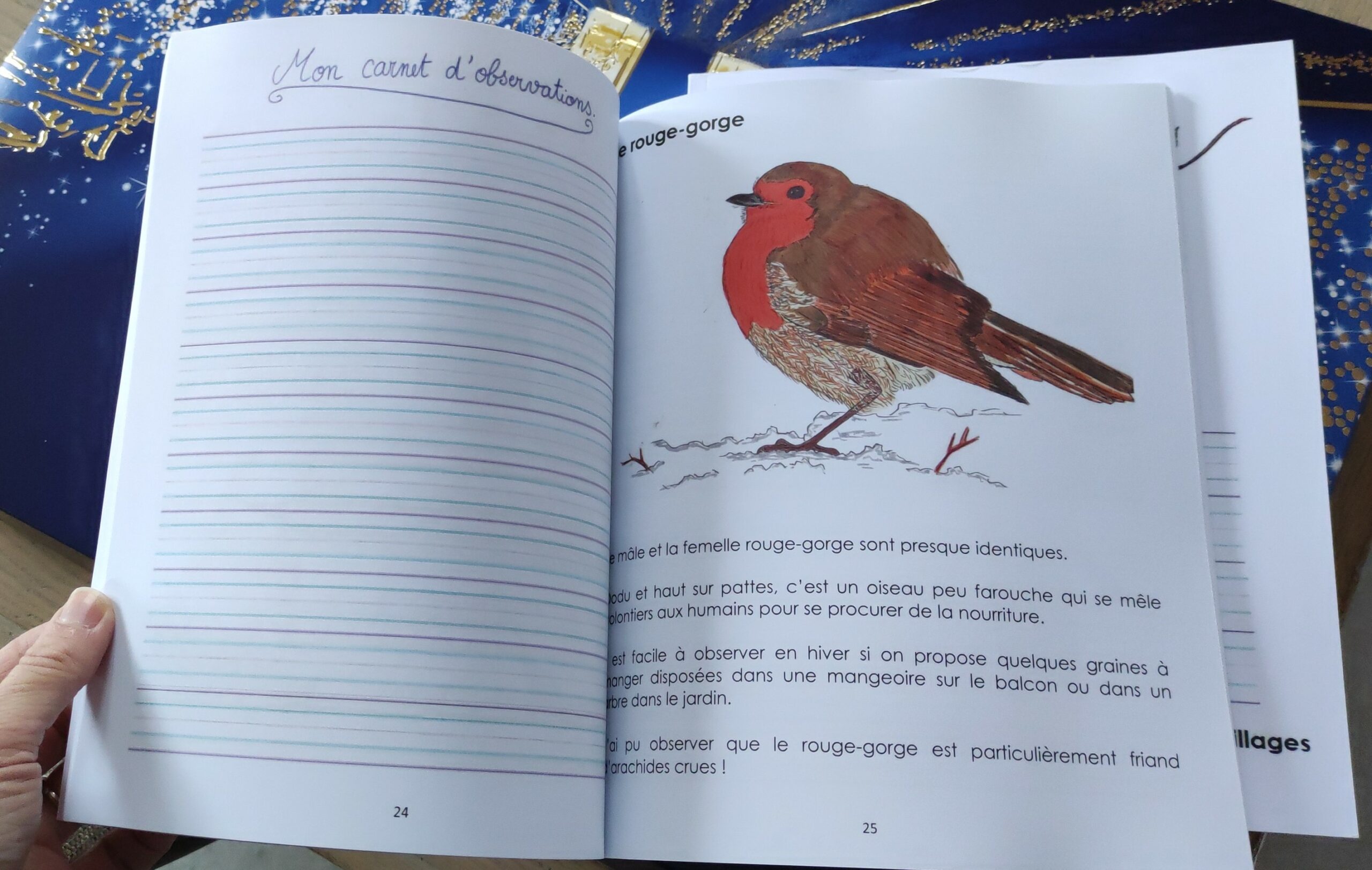 les animaux, les oiseaux