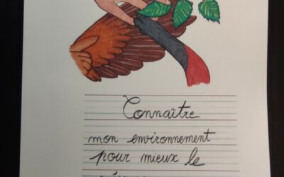 Mon tout premier livre !