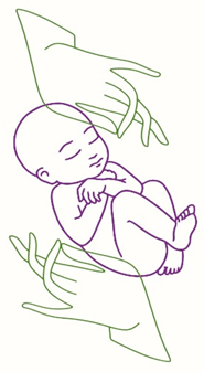 Mon environnement, les animaux, les oiseaux, paysage, arbre, nature